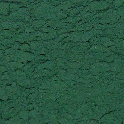 ESPIRULINA POLS