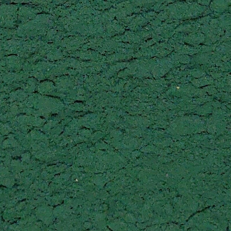 ESPIRULINA POLS