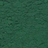 ESPIRULINA POLS