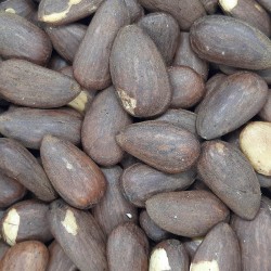 ALMENDRA TOSTADA EXTRA