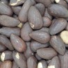 ALMENDRA TOSTADA EXTRA