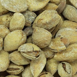 ALMENDRUCO TOSTADO SALADO