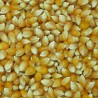 MAÍZ EN GRANO PALOMITAS