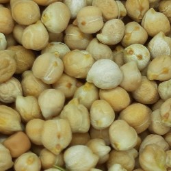 GARBANZO PEDROSILLO