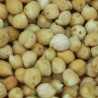 GARBANZO PEDROSILLO