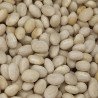 ALUBIA GARROTXA