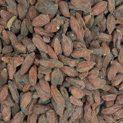 BAYAS DE GOJI
